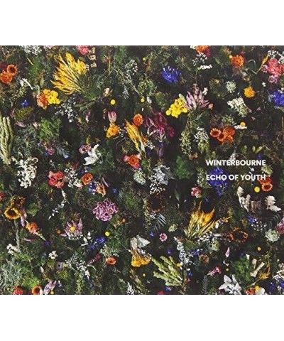 Winterbourne ECHO OF YOUTH CD $9.90 CD