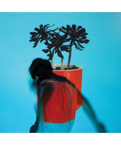 Local Natives Sunlit Youth vinyl record $14.24 Vinyl