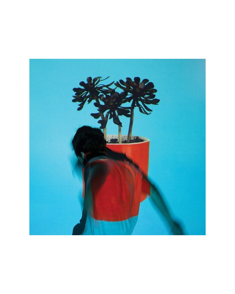 Local Natives Sunlit Youth vinyl record $14.24 Vinyl