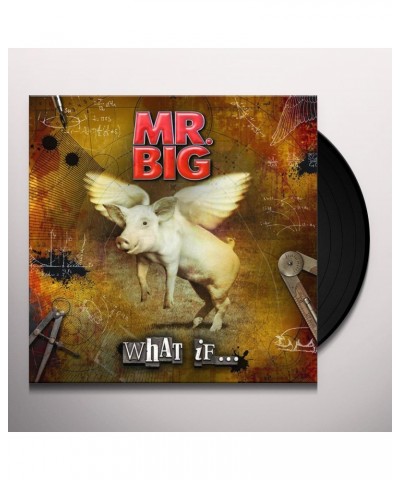 Mr. Big WHAT IF Vinyl Record $15.00 Vinyl