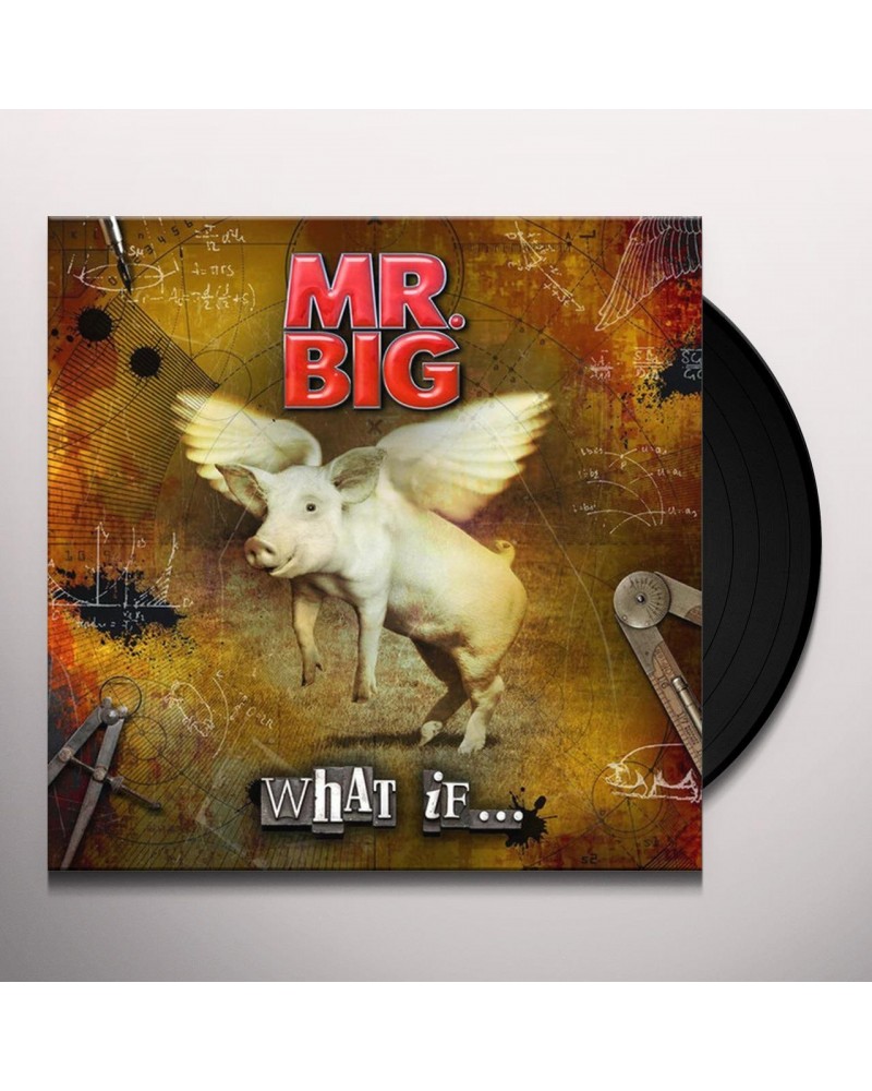 Mr. Big WHAT IF Vinyl Record $15.00 Vinyl