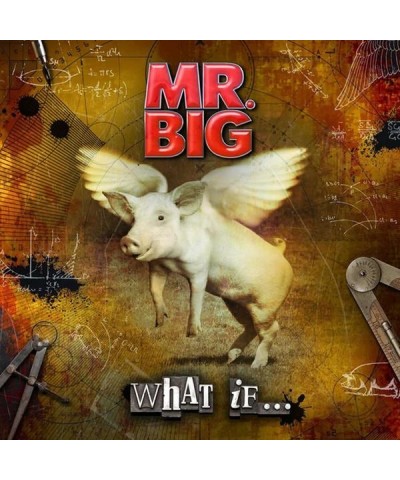 Mr. Big WHAT IF Vinyl Record $15.00 Vinyl