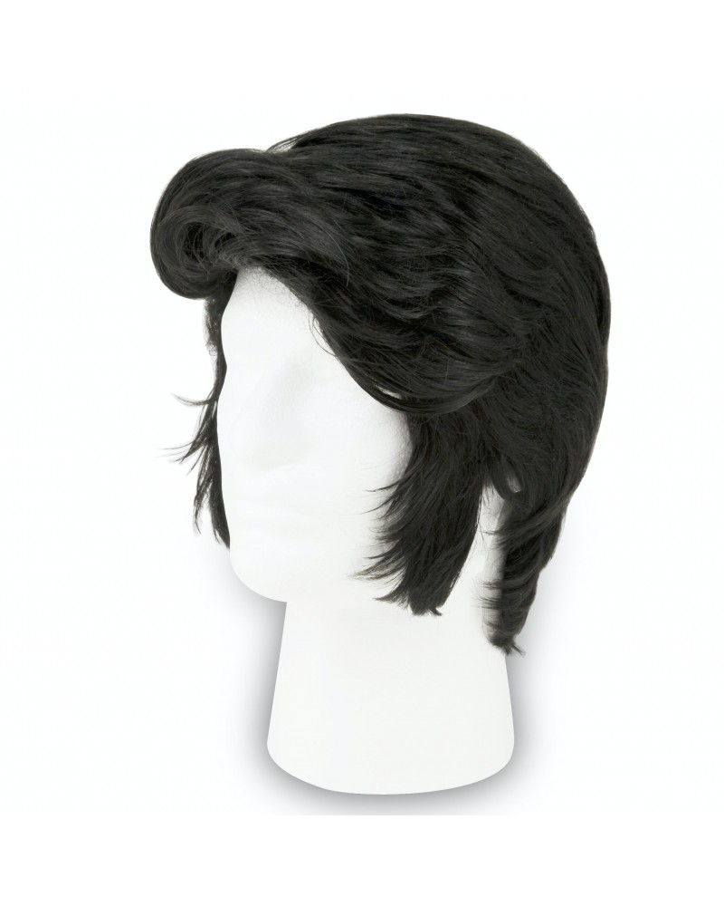 Elvis Presley Deluxe Costume Wig $13.18 Accessories